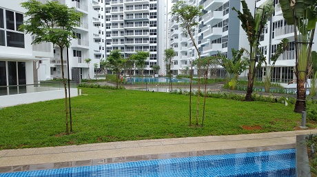 Forestville EC near Woodlands South MRT