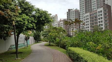 The Terrace Site Photo Taken on 161016