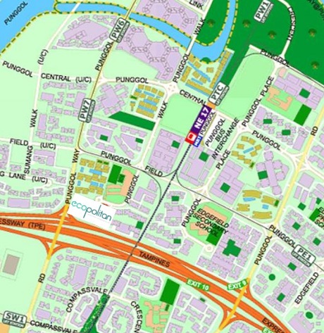 Ecopolitan EC near to Punggol MRT