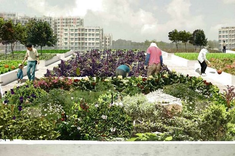 Oasis Terrace in Punggol 300m to The Terrace EC