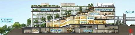Oasis Terrace in Punggol 300m to The Terrace EC